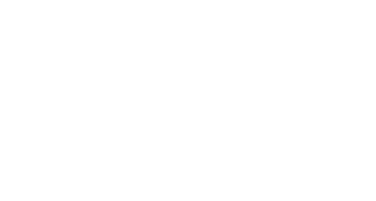 Wafeddin logo